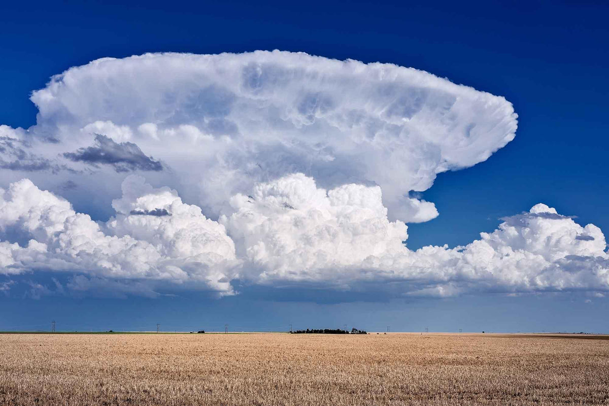 Towering cumulonimbus thunderstorm cloud with a broad anvil over the western United States.