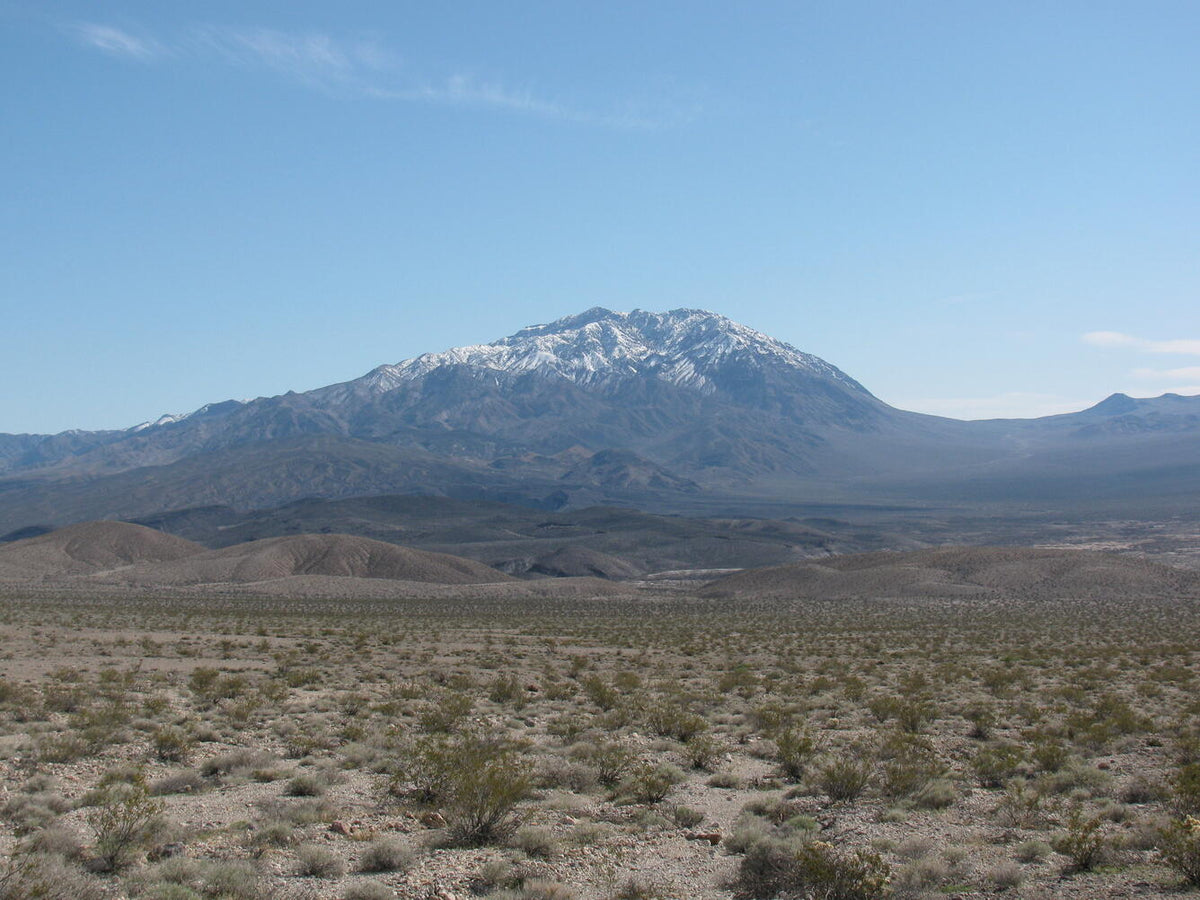 The Desert Makes Every Mistake Expensive